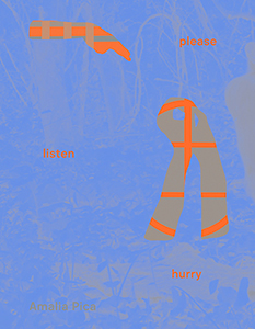 Amalia Pica - Please Listen Hurry Others Speak Better