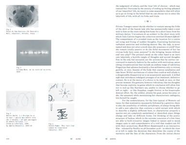 Neither Nor / Né altra né questa