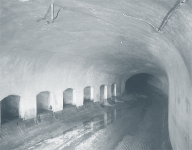 Neither Nor / Né altra né questa