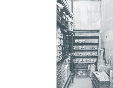 Neither Nor / Né altra né questa