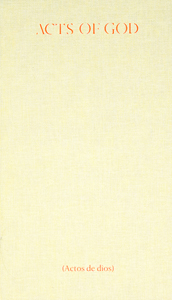 Pablo Vargas Lugo - Acts of God - Mexican Pavilion – 58th International Art Exhibition, La Biennale di Venezia