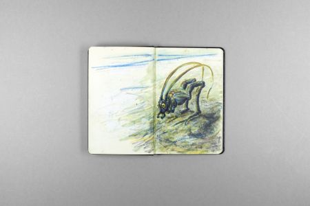 Notebooks 2005-2018 (coffret)