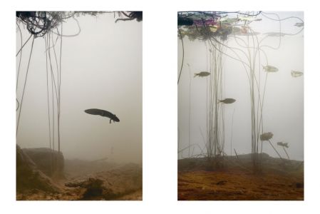 Theater, Garden, Bestiary