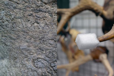 Theater, Garden, Bestiary