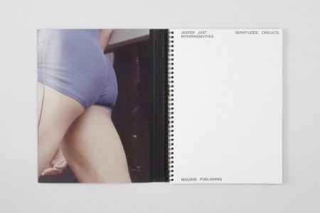 Servitudes. Circuits. Interpassivities.