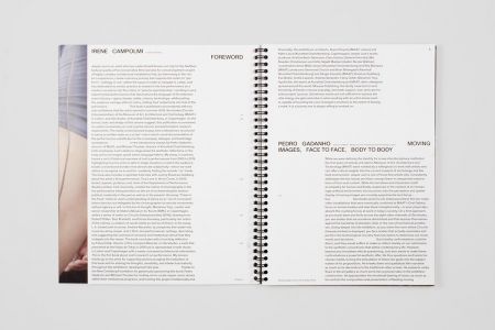 Servitudes. Circuits. Interpassivities.