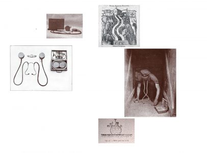 Une généalogie des grandes oreilles