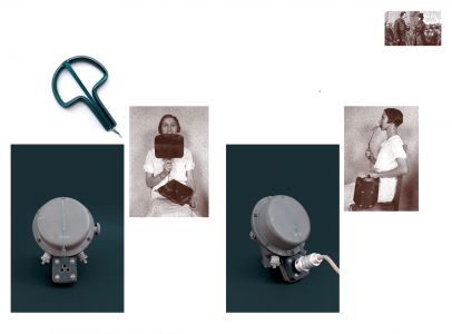 Une généalogie des grandes oreilles