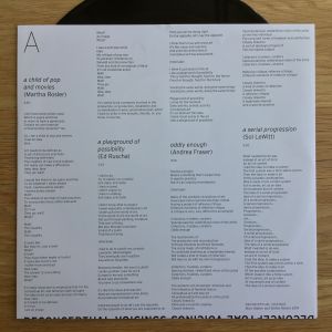 Deconceptual Voicings (vinyl LP)