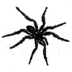 Tarantismo - Odyssey of an Italian ritual (2 vinyl LP)