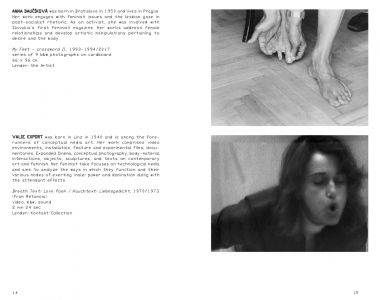 Collective Exhibition for a Single Body