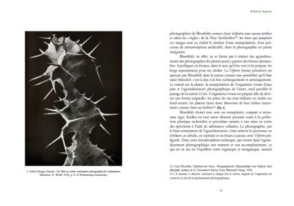 Puissance du végétal et cinéma animiste