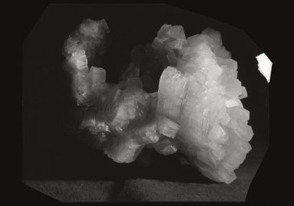 On the Last Afternoon