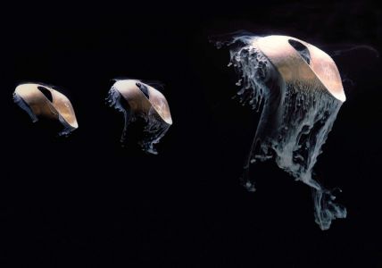 On the Last Afternoon