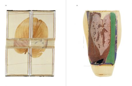 Impressions sauvages