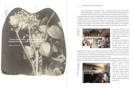 Impressions sauvages