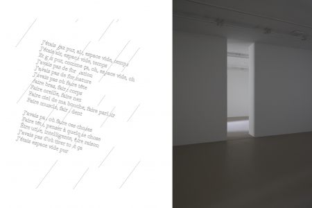 Ne voulais prendre, ni forme, ni chair, ni matière