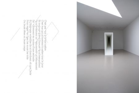 Ne voulais prendre, ni forme, ni chair, ni matière