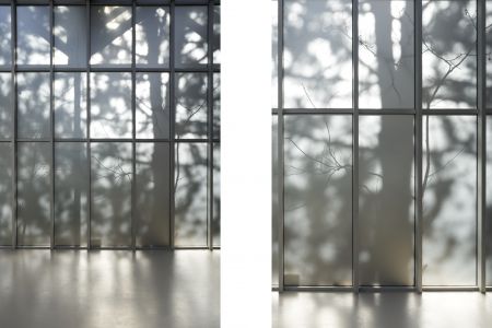 Ne voulais prendre, ni forme, ni chair, ni matière