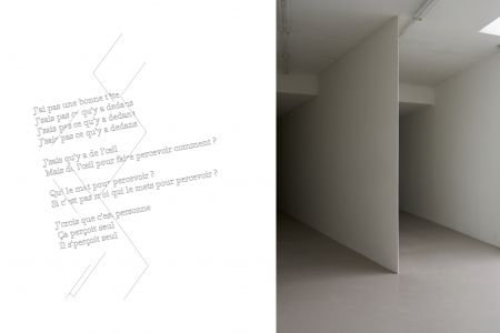 Ne voulais prendre, ni forme, ni chair, ni matière