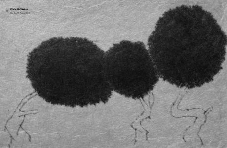 The Drawing Centre Family