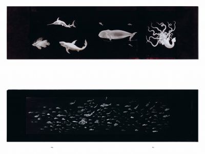 João Maria Gusmão présente Eugène Frey