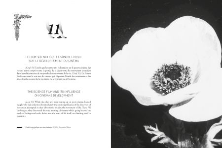 Qu'est-ce que le cinéma ?