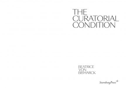 The Curatorial Condition