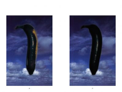 Handicapé ; Bien ?!?!?!