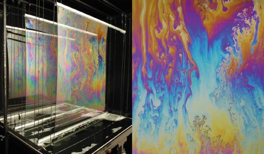 La nature reconfigurée