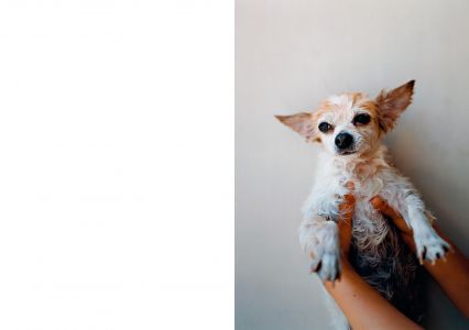 Tokyo and my Daughter