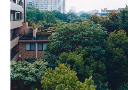 Tokyo and my Daughter