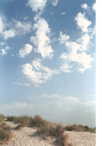 Piss down my back and tell me it's raining