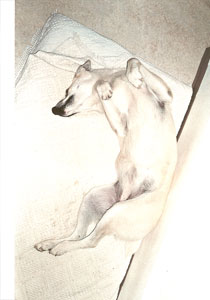 Piss down my back and tell me it's raining