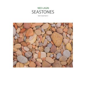 Ned Lagin - Seastones - Set 4 and Set 5 (vinyl LP)