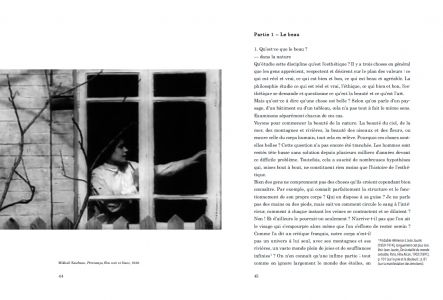 Introduction à l'esthétique