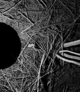 Félix Luque Sánchez - Machines & Fictions