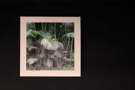 5 Streams (2 vinyl LP + 7