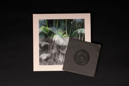 5 Streams (2 vinyl LP + 7