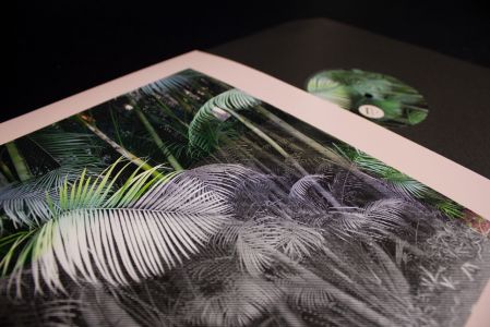 5 Streams (2 vinyl LP + 7