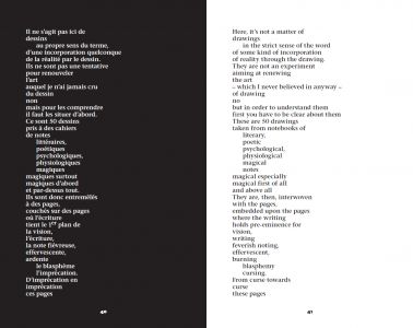 The Human Face and Other Writings on His Drawings