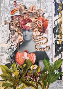 La Tranchée Racine hebdomadaire