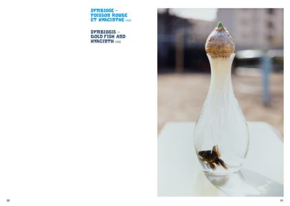 La Sirène de 165 mètres et autres histoires