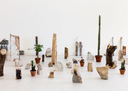 La Sirène de 165 mètres et autres histoires