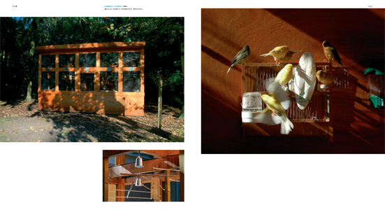 Le jeu & les règles (+ CD)