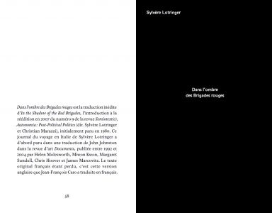 Ce que Sylvère Lotringer n'écrivait pas
