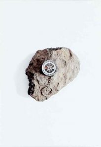 Ella Littwitz - Facts on the Ground