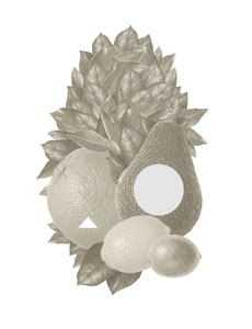 Cosmic Wonder Free Press