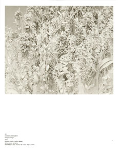 Cosmic Wonder Free Press