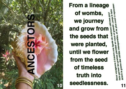 Conscience u.terre.ine